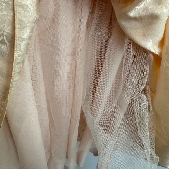 Romantic champagne vintage dress puffy sleeves lace cottagecore tulle - Picture 5 of 16